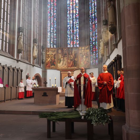Mit einer Palmprozession von der Marienkapelle und einem Pontifikalgottesdienst im Würzburger Kiliansdom hat Bischof Dr. Franz Jung am Palmsonntag, 24. März, die Heilige Woche eröffnet.